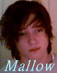 Mallow
